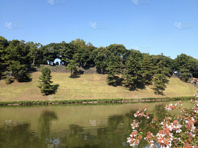 公园,夏天,东京,自然,水,天空,水平画幅,无人,户外,湖