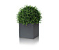 LINNÉ - Plant pots from Röshults | Architonic : LINNÉ - Designer Plant pots from Röshults ✓ all information ✓ high-resolution images ✓ CADs ✓ catalogues ✓ contact information ✓ find your..