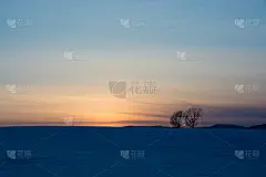 美丽的黄昏天空和冬日的树林
