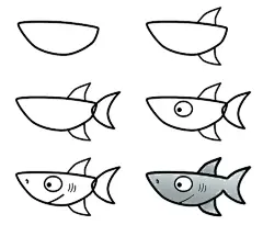 a shark