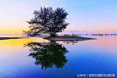 yilisabay采集到秋