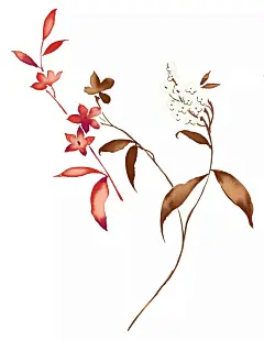 水彩印花素材PSD分层素材|PSD素材|插画|水彩|小花|印花素材|花植物花小花花草|小花小野花白色小|小花小草小蜜蜂|五瓣花紫色小花