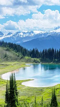 风景