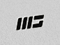 Mg-logo-dizajn-tomas-vateha-chameleon-design7-400