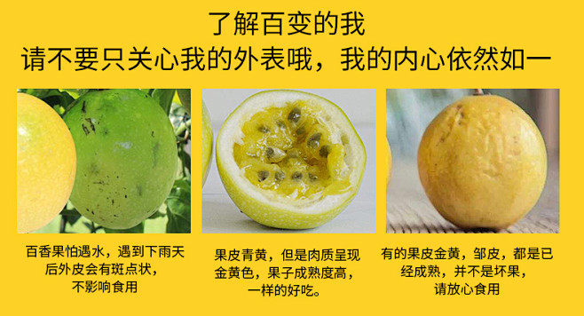 广西黄金百香果黄色特级台湾芭乐纯正新鲜香...