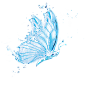 蓝色 漂亮的 蝴蝶 装饰元素免抠png图片壁纸