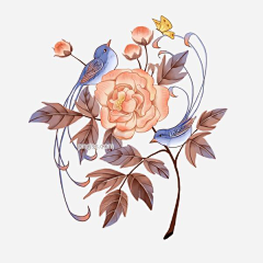 Udgsu_amp;采集到牡丹花