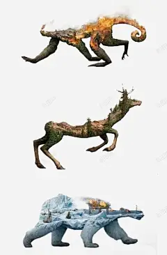 猴子羚羊北极熊高清素材 免抠png 设计图片 免费下载 页面网页 平面电商 创意素材