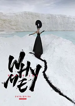 作品：2015李宇春Whyme演唱会海报主视觉及周边产品小结  