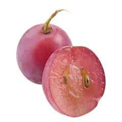 手绘葡萄绿葡萄红葡萄素材