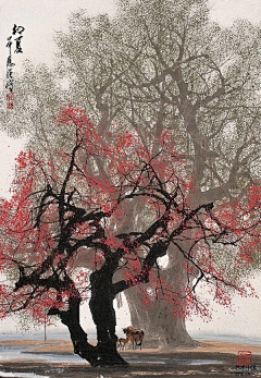 昙花夜放采集到色彩