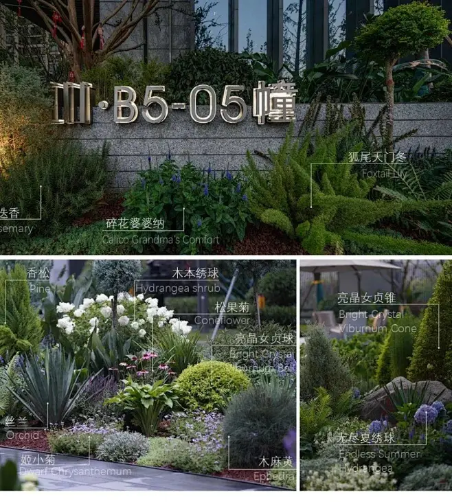 80+花境植物配置图分享：花境设计参考宝典_项目名称_摄影_景观-花瓣网