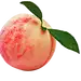 桃子