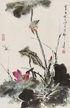 清新秀丽情趣盎然：王雪涛写意荷花作品