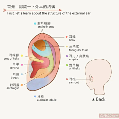 小火鸡咕咕哒_采集到J教程