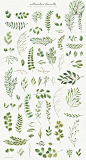 繁茂的水彩树叶元素、相框、纹理素材包 Leafy Leaf Collection#2367610 :   @飞天胖虎