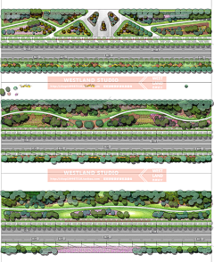 开飞机的海洋生物采集到道路，狭长景观