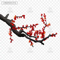 腊梅,手绘腊梅,梅花,手绘梅花,梅花手绘,中国风,国风,新年,年货节,春节,png,免扣素材,