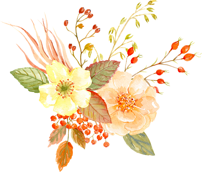 水彩秋季向日葵玫瑰雏菊花卉图案PNG免抠...