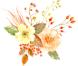 水彩秋季向日葵玫瑰雏菊花卉图案PNG免抠图