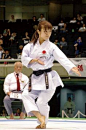 展示日本之美的照片集，包括风景照片、日本武术、武士历史和美丽的日本女性。