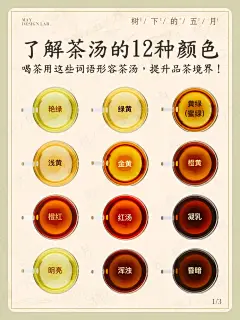 喝茶用这些词语形容茶汤✨提升品茶境界！ - 小红书
