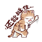 上班形象大使 猫咪头像