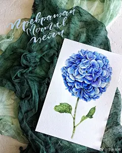 水彩鲜花插画设计#插画生活# ​​​​