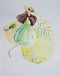 Alina小迪原创手绘插画《蔬果小姐》系列之 西葫芦 Summer Squash