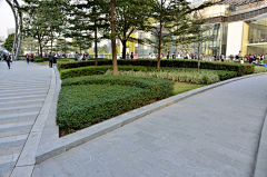 绿蔷美荷采集到展示区quanzhou