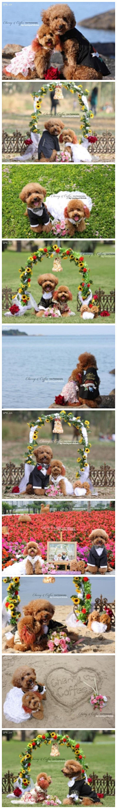 彼岸花竹林风采集到漫漫
