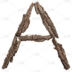 来自树皮的字母。信一个