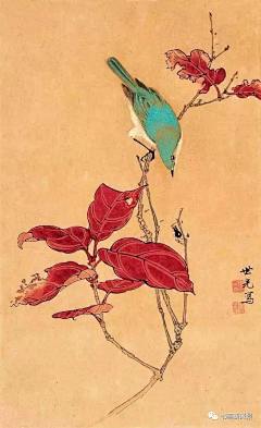 月朦胧q采集到国画花鸟