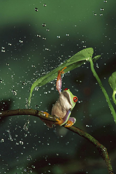 雨