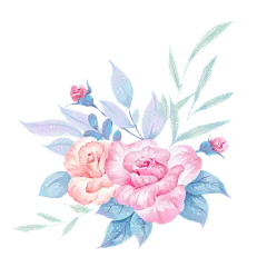 手绘水彩牡丹花花卉元素