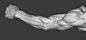 arm reference: 