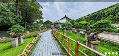明玕123采集到美丽乡村