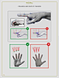 anatomy-for-sculptors-creases-and-gaps-of-fingers