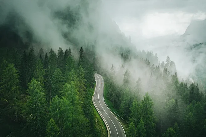 道路弯曲穿过森林的鸟瞰图图片下载