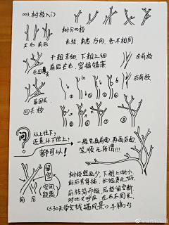 柒褈采集到「素描速写」