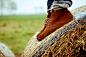 Me, my Clarks and I, countryside, day 18/365 | Flickr – 相片分享！