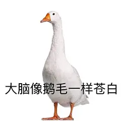 学习 表情包