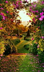 牛津郡，英格兰•黎明的曙光在花坛在园林中