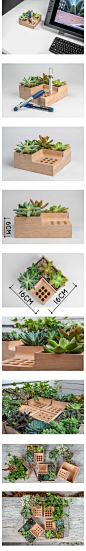 实木笔座迷你盆栽组合桌面收纳设计产品多肉容器-淘宝网