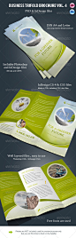 Business Trifold Brochure Vol. 4 - Informational Brochures