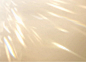 245d0383264028f853f39ea92c9d50fe1e11a7ac4d3c-TOJLI8_fw1200