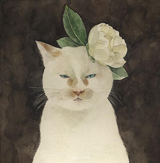 山田绿 猫咪与花朵