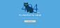 404 Cat