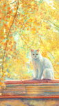 20201207-涂猫速途_石头里尼__插画师作品_涂鸦王国gracg.com