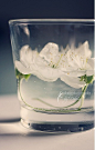 ♥`、Flowers、soft、意境、可爱、感觉、lomo、设计、色彩、时尚、美食 可爱、瓶子、杯子
